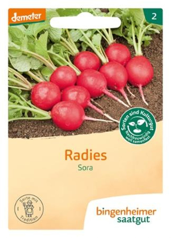 Produktfoto zu Radieschen Sora