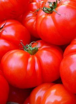 Produktfoto zu Fleischtomaten rot