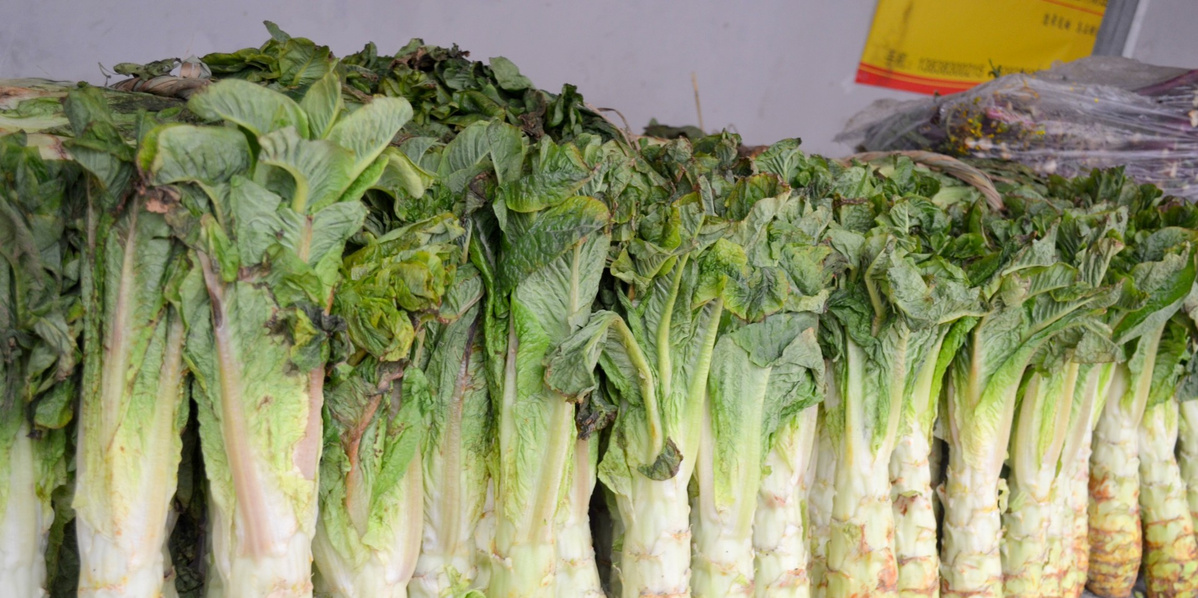 KI generiert: Frisches Gemüse mit grünen Blättern und dicken, weißen Stängeln, vermutlich eine Art Salat oder Kohl.