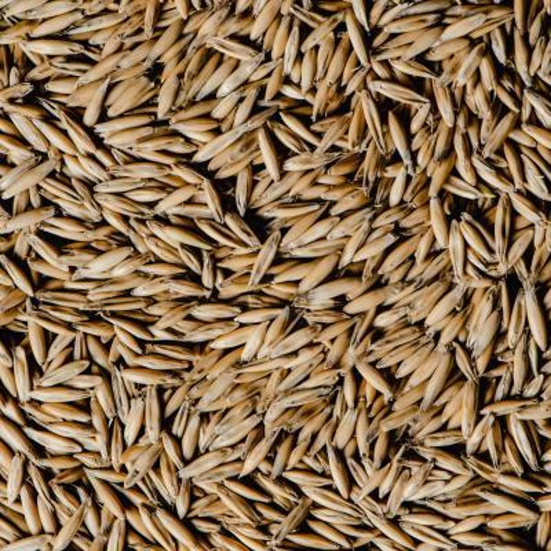 Haferprodukte