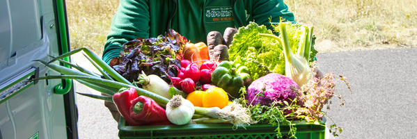 KI generiert: Eine Person hält einen Korb mit frischem Gemüse vor einem Lieferwagen.