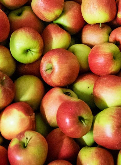 Produktfoto zu Sommeräpfel