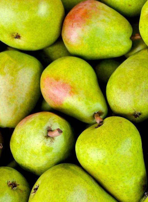 Produktfoto zu Birnen (neue Ernte)