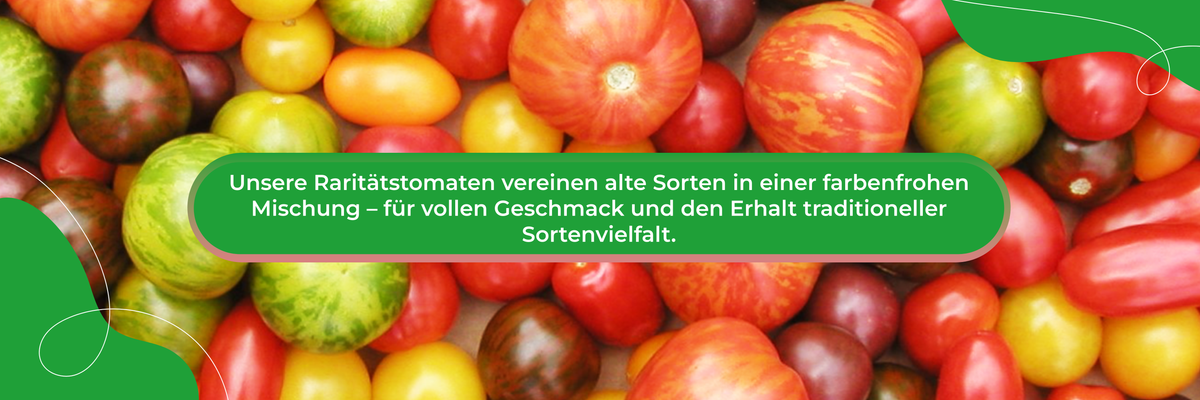 KI generiert: Verschiedene bunte Tomaten; Text: "Unsere Raritätstomaten vereinen alte Sorten in einer farbenfrohen Mischung..."