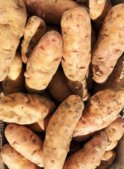 Produktfoto zu Bamberger Hörnla