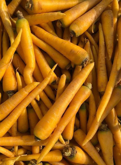 Produktfoto zu Karotten gelb