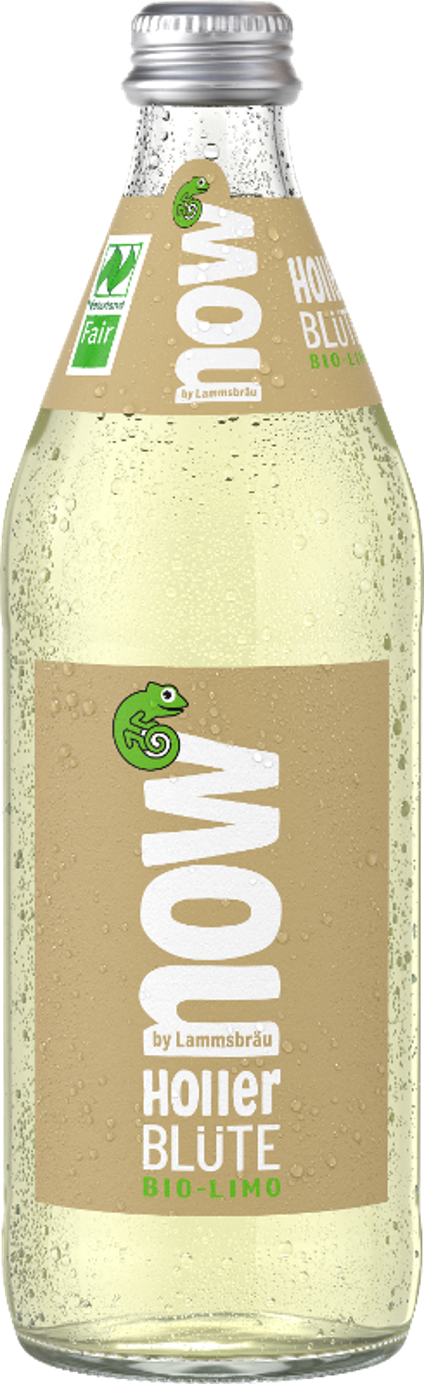 Produktfoto zu Holler Blüte 0,5 l
