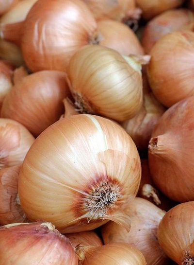 Produktfoto zu Singlezwiebeln gelb