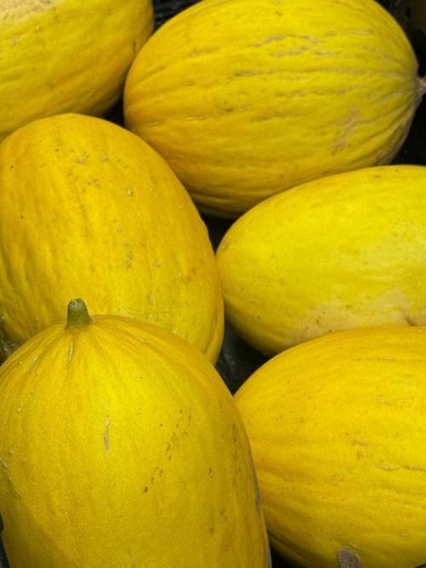 Produktfoto zu Honigmelone regio