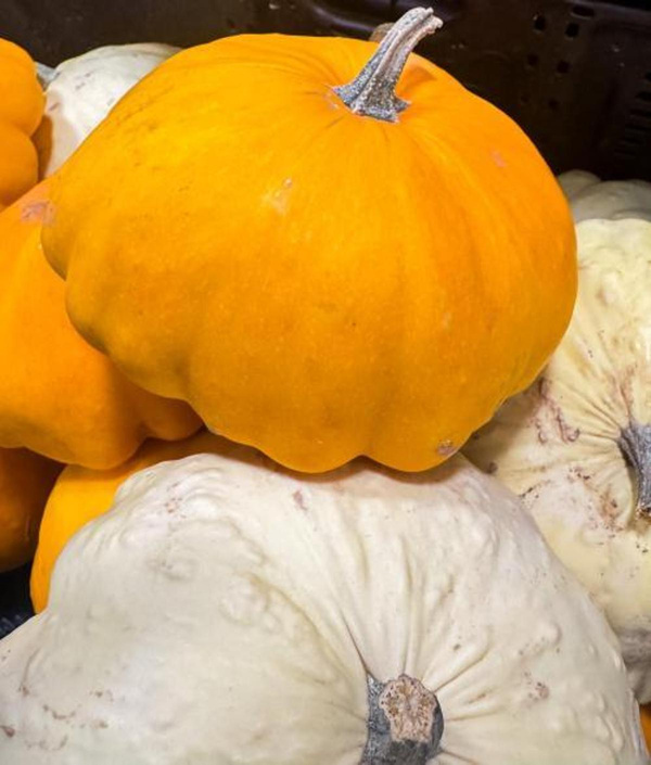 Produktfoto zu Ufo-Kürbis (Patisson)