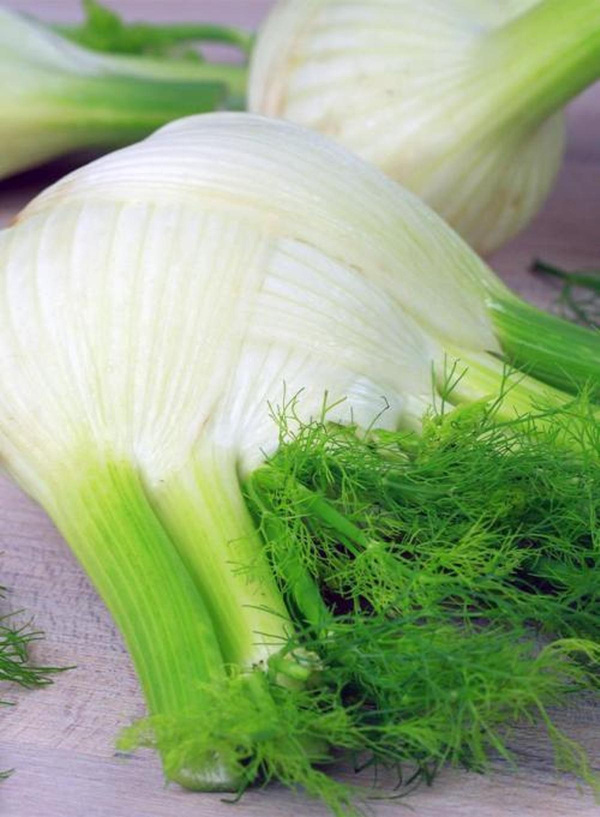 Produktfoto zu Fenchel mit Grün