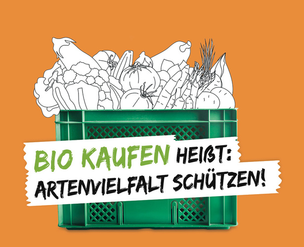 KI generiert: Grüne Kiste mit gezeichnetem Gemüse und dem Text: "BIO KAUFEN HEIßT: ARTENVIELFALT SCHÜTZEN!"