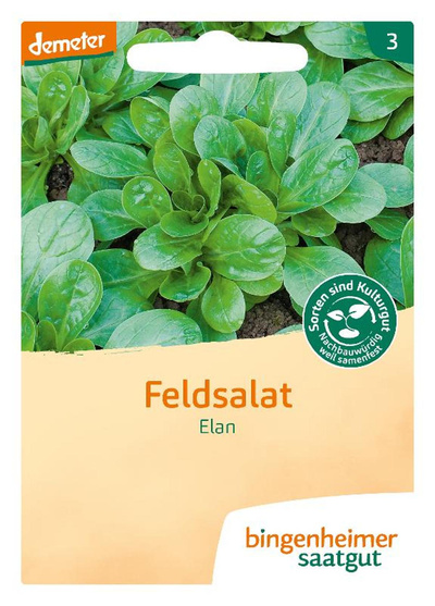 Produktfoto zu Feldsalat Elan