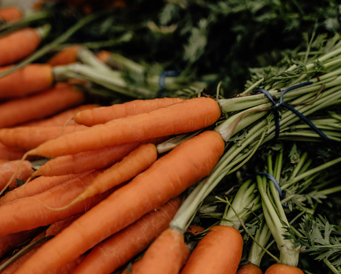 KI generiert: Frische Möhrenbündel mit grünem Blattwerk liegen zusammengebunden auf einem Haufen.