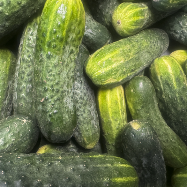 Produktfoto zu Snackgurken