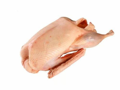 Produktfoto zu Gans