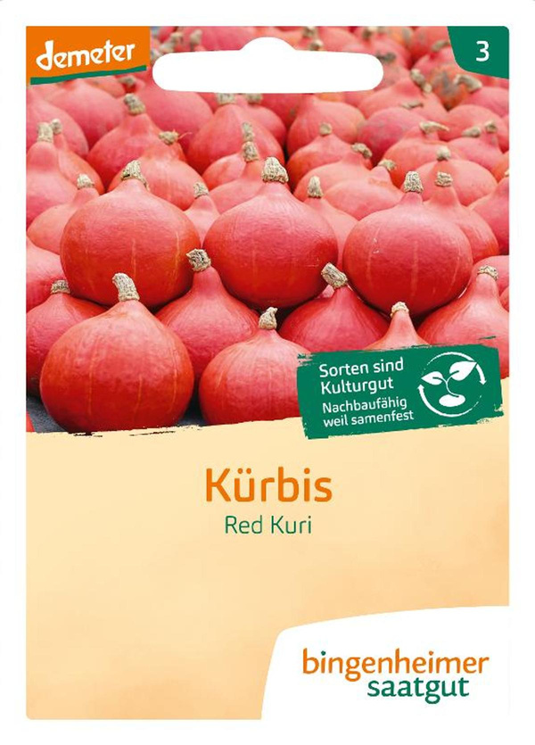 Produktfoto zu Kürbis Hokkaido Red Kuri