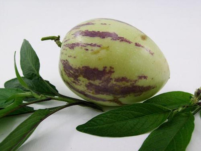 Produktfoto zu Pepino Melonenbirne