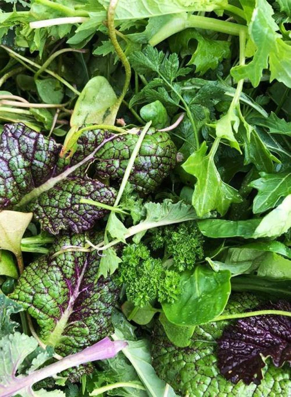 Produktfoto zu Vitalmix Salat