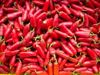 Produktfoto zu Chili Jalapeño Ruben