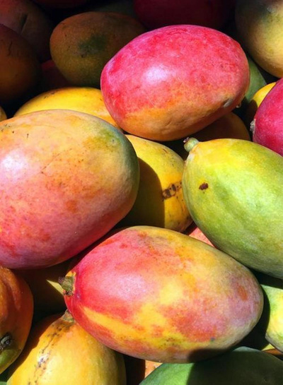 Produktfoto zu Mango groß