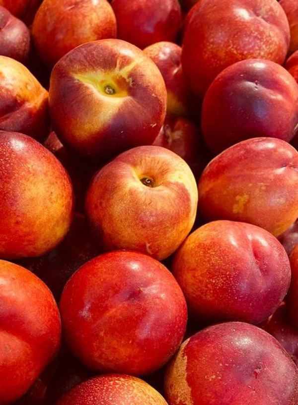 Produktfoto zu Nektarinen rund gelbfleischig