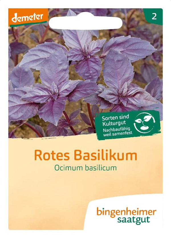Produktfoto zu Basilikum rot
