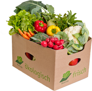 KI generiert: Das Bild zeigt vier verschiedene Gerichte, darunter Kürbis-Curry, Lauch-Frischkäserouladen mit Paprikasoße, Schwarzwurzelsuppe mit Topping und Gnocchi Caprese. Alle Gerichte sind als einfach zu kochen gekennzeichnet.