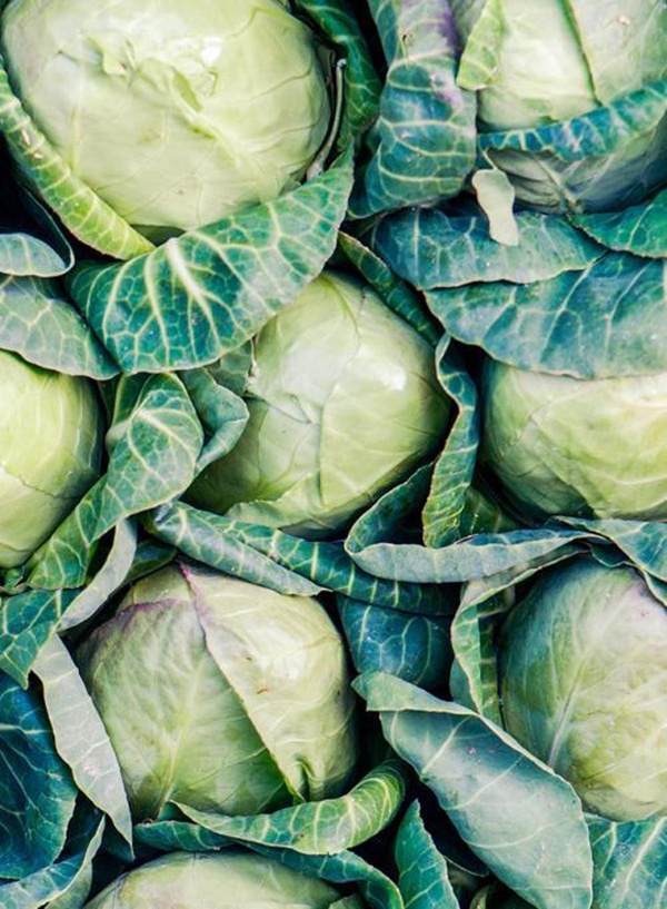 Produktfoto zu Weißkraut (neue Ernte)
