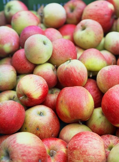 Produktfoto zu Apfel Jonagored