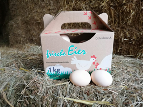 Produktfoto zu Eier (versch. Größen), 1 kg