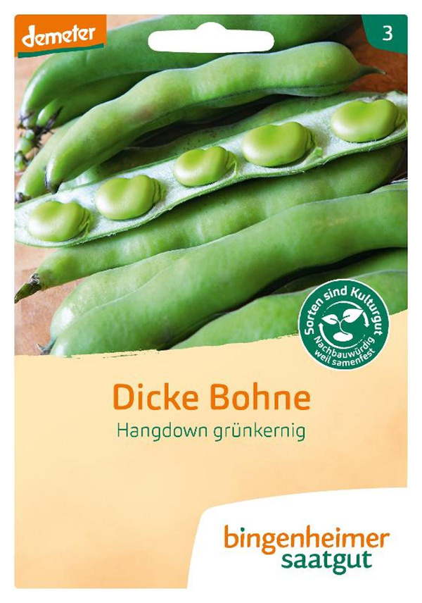 Produktfoto zu Dickbohne Hangdown
