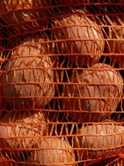 Produktfoto zu Kartoffeln vorwiegend festkochend rotschalig