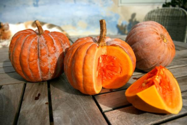 Produktfoto zu Kürbis Futsu Black