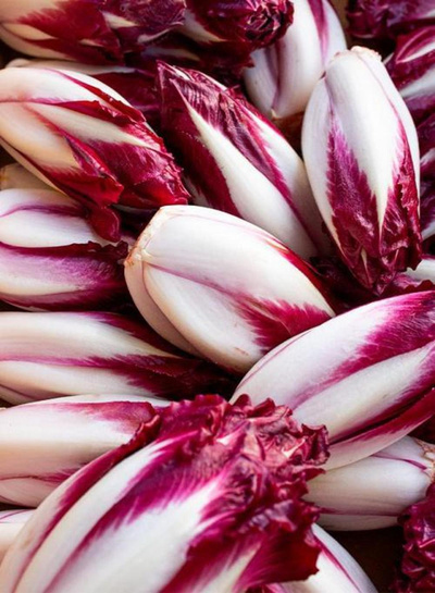 Produktfoto zu Chicorée rot