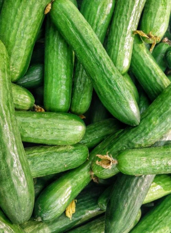 Produktfoto zu Mini-Gurken