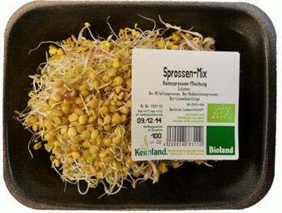 Produktfoto zu Wintersprossen