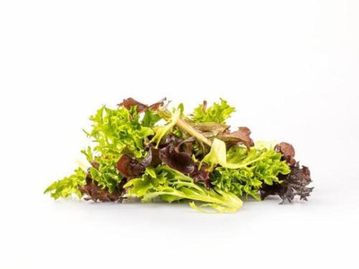 Produktfoto zu Pflücksalat