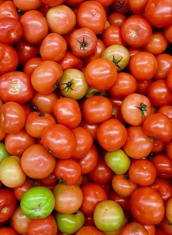 Produktfoto zu Suppentomaten