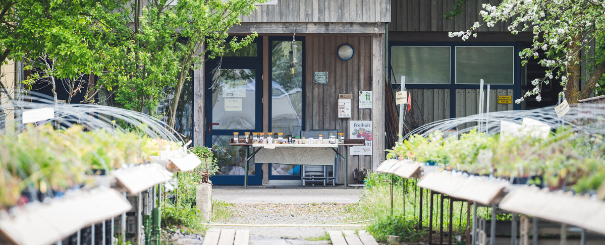 KI generiert: Gartenbereich mit Pflanzenreihen und einem Tisch mit Gläsern vor einem Holzeingang.
