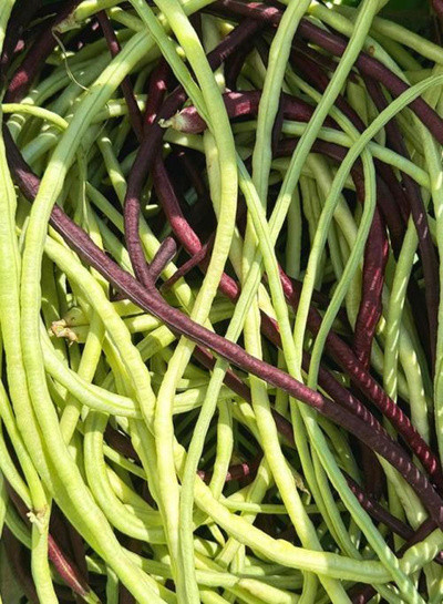 Produktfoto zu Spaghettibohnen