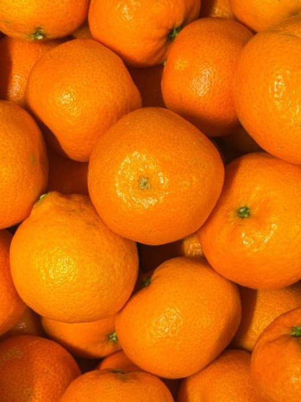 Produktfoto zu Zwerg-Clementinen