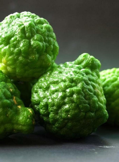 Produktfoto zu Bergamotte