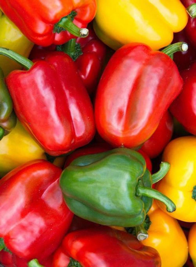 Produktfoto zu Paprika Mix bunt