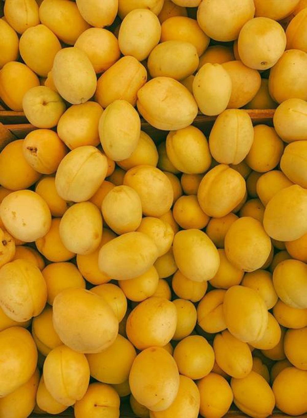 Produktfoto zu Mirabellen gelb, 250 g