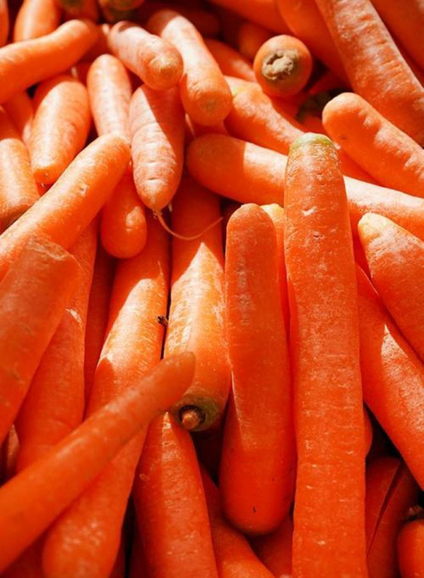Produktfoto zu Karotten (neue Ernte)