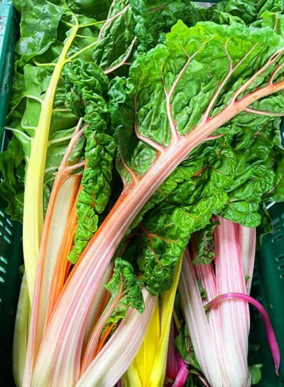 Produktfoto zu Blatt-Mangold bunt