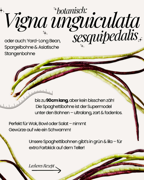 KI generiert: Beschreibung: Spaghettibohnen in Grün und Lila mit Text zur Länge und Verwendung.