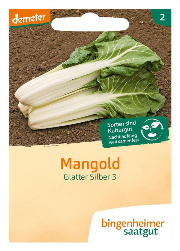 Produktfoto zu Mangold Glatter Silber