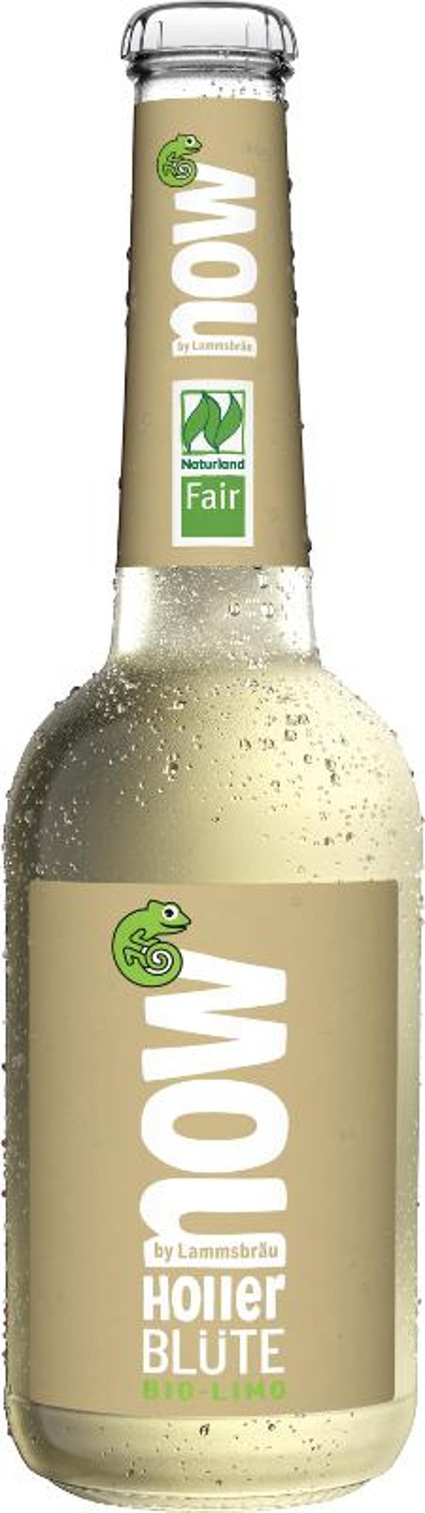 Produktfoto zu Holler Blüte